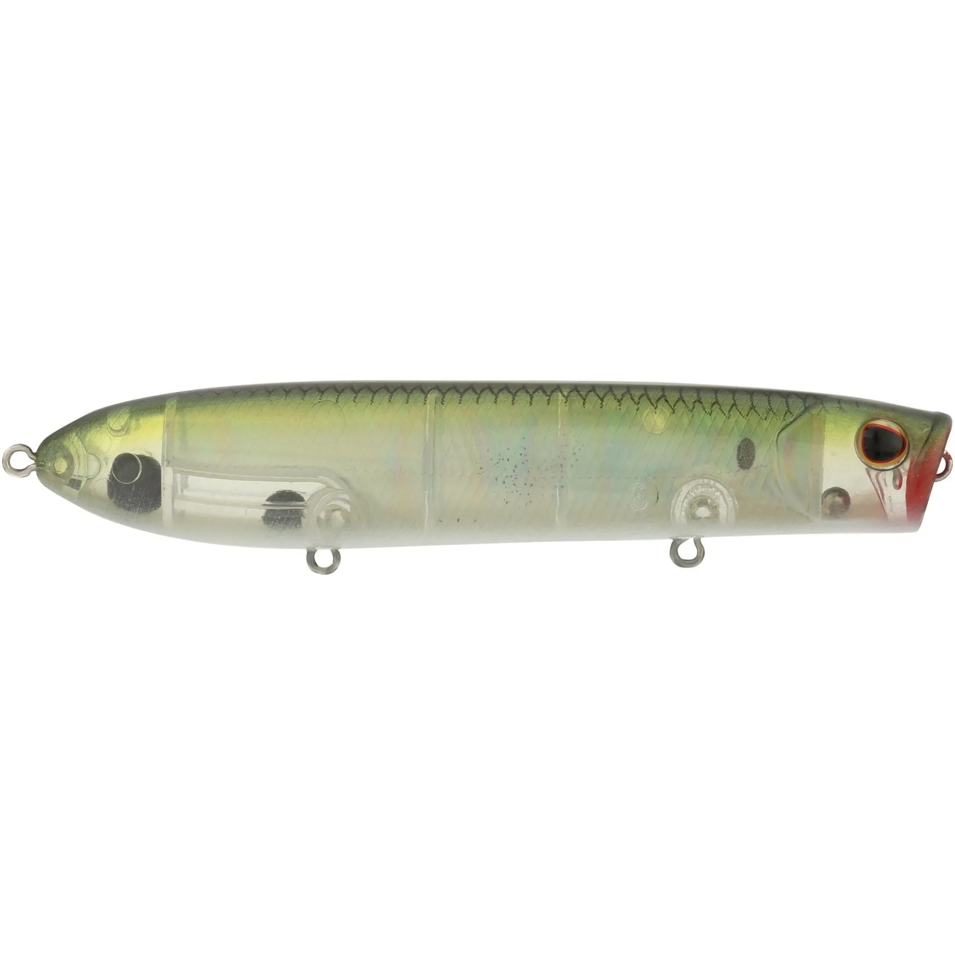Berkley Cane Walker Saltwater