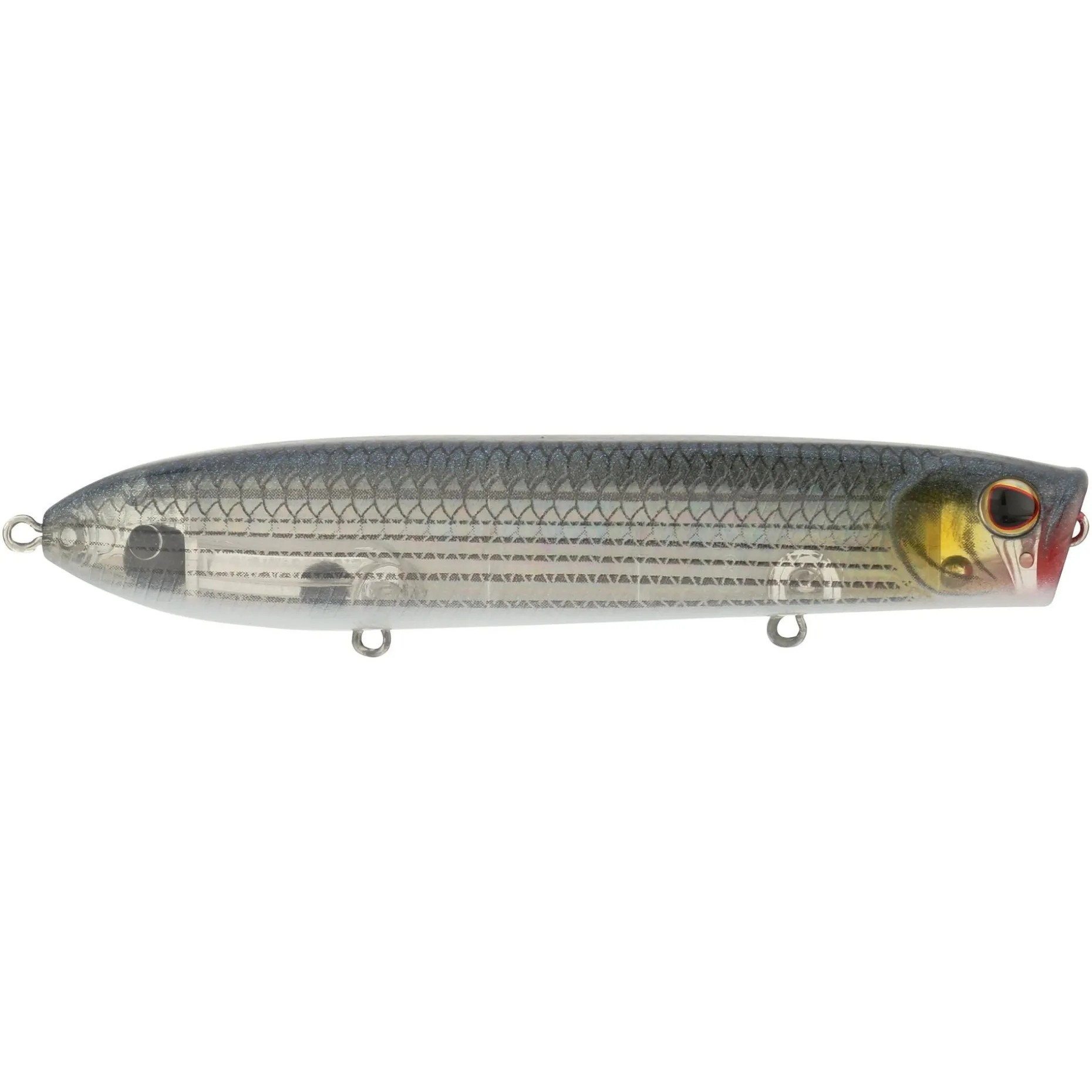 Berkley Cane Walker Saltwater