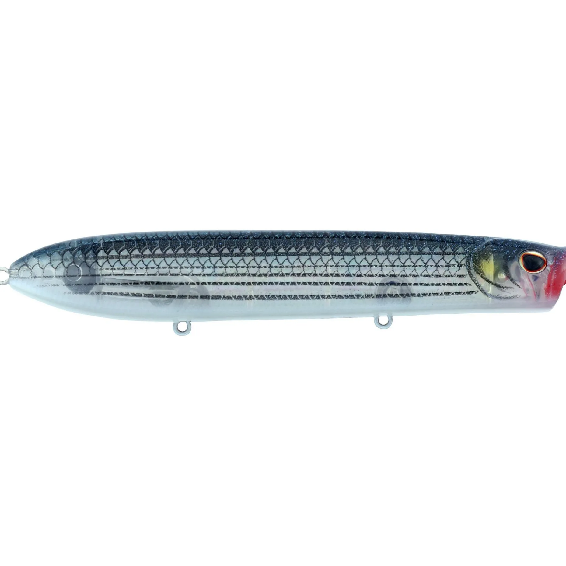 Berkley Cane Walker Saltwater