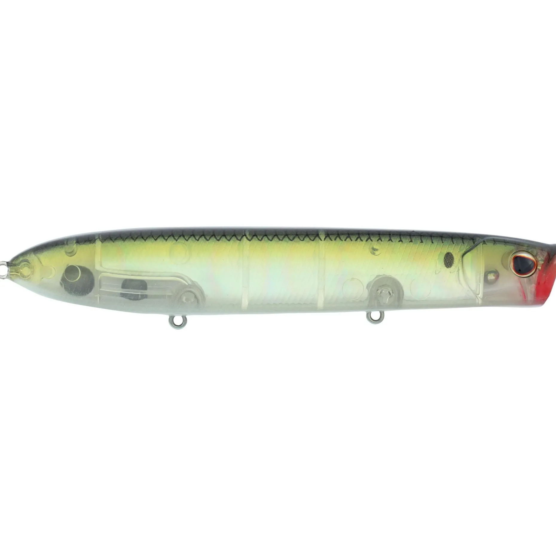 Berkley Cane Walker Saltwater
