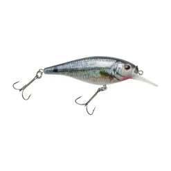 Berkley Flicker Shad® Shallow