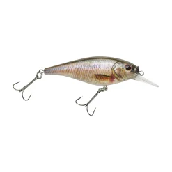 Berkley Flicker Shad® Shallow