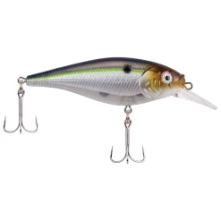 Berkley Flicker Shad® Shallow