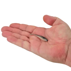 Berkley Gulp! Alive!® Minnow