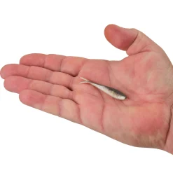Berkley Gulp! Alive!® Minnow