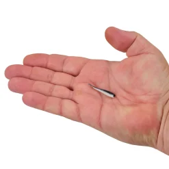 Berkley Gulp! Alive!® Minnow