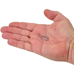 Berkley Gulp! Alive!® Minnow