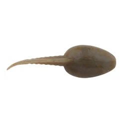 Berkley Gulp! Alive!® Tadpole