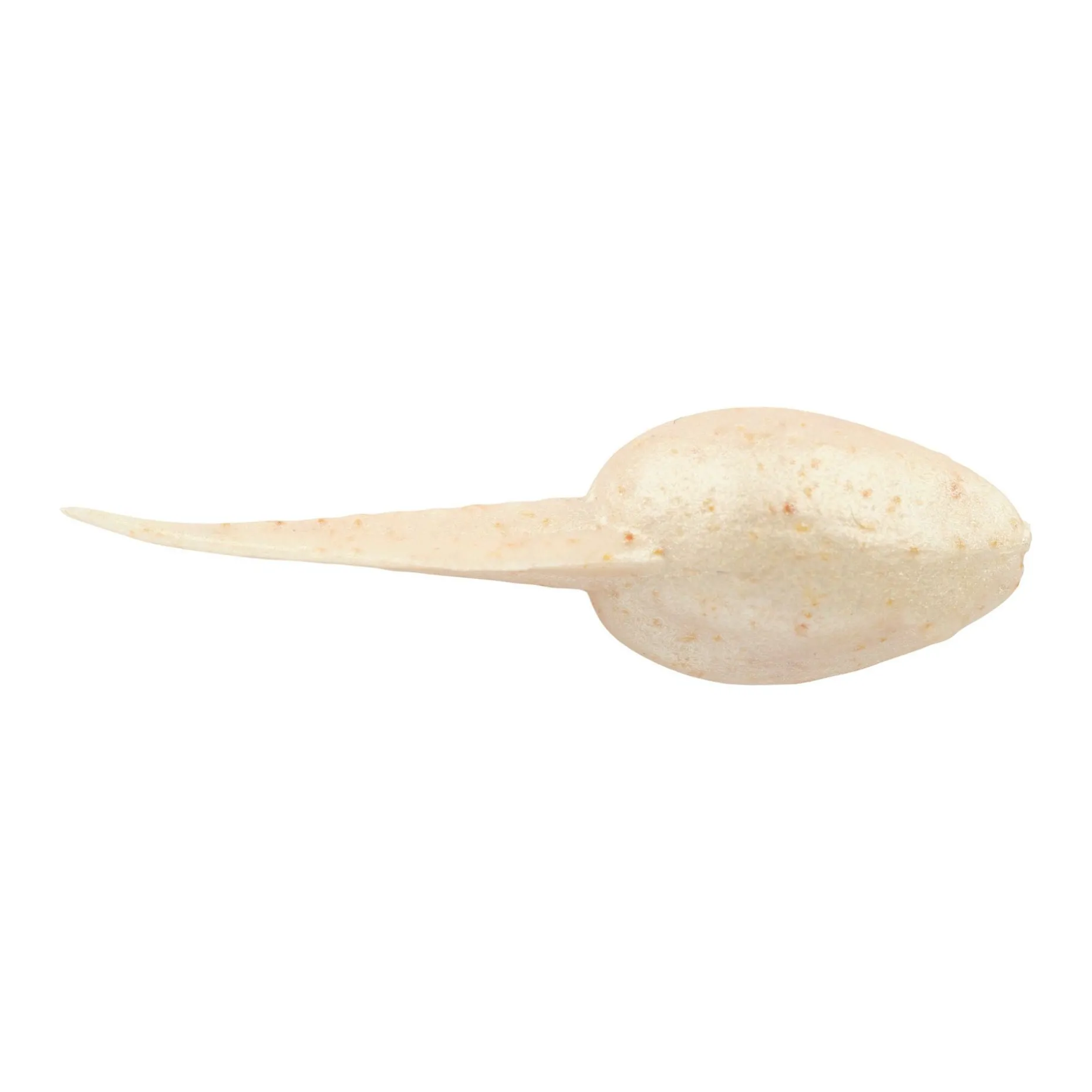 Berkley Gulp! Alive!® Tadpole