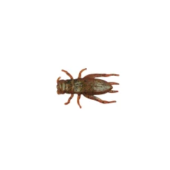 Berkley Gulp!® Cricket