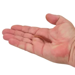 Berkley Gulp!® Floating Pinched Crawler