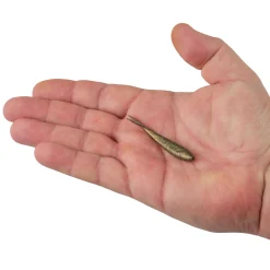 Berkley Gulp!® Minnow