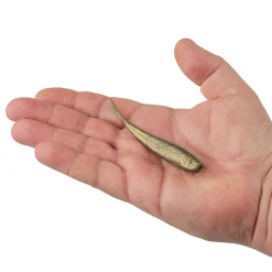 Berkley Gulp!® Minnow