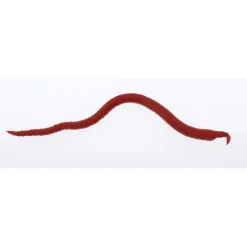 Berkley Gulp!® Saltwater Extruded Bloodworm