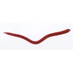 Berkley Gulp!® Saltwater Extruded Bloodworm