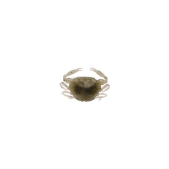 Berkley Gulp!® Saltwater Peeler Crab