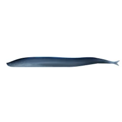 Berkley Gulp!® Saltwater Sand Eel