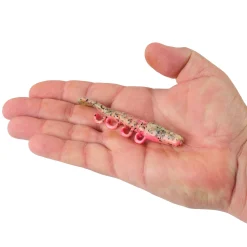Berkley Gulp!® Saltwater Turbo Shrimp