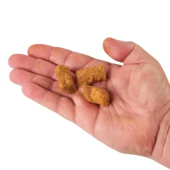 Berkley PowerBait® Catfish Bait Chunks