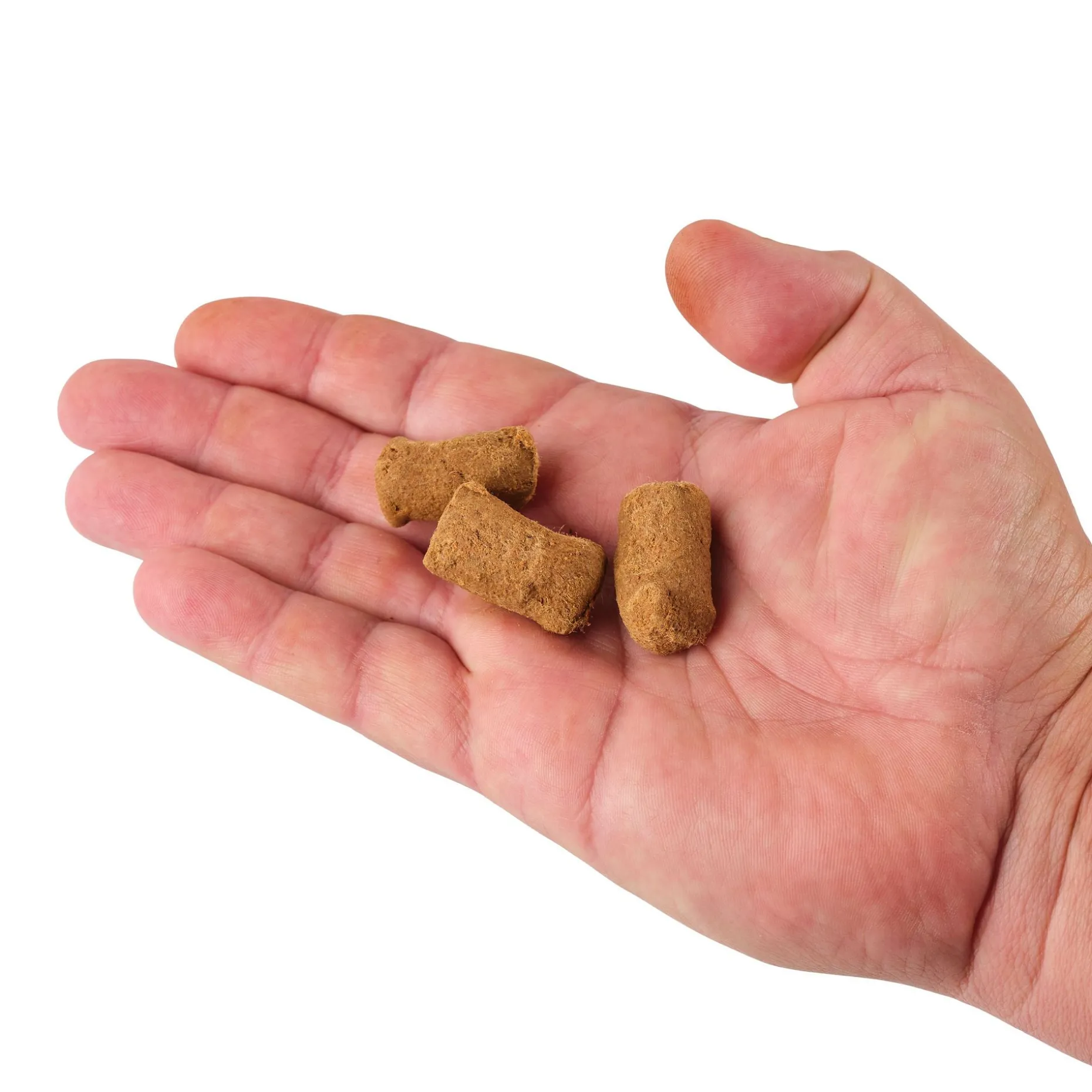 Berkley PowerBait® Catfish Bait Chunks