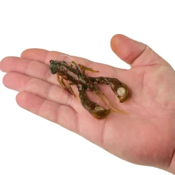 Berkley PowerBait® Clatter Craw