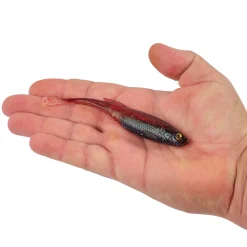 Berkley PowerBait® Drip Minnow