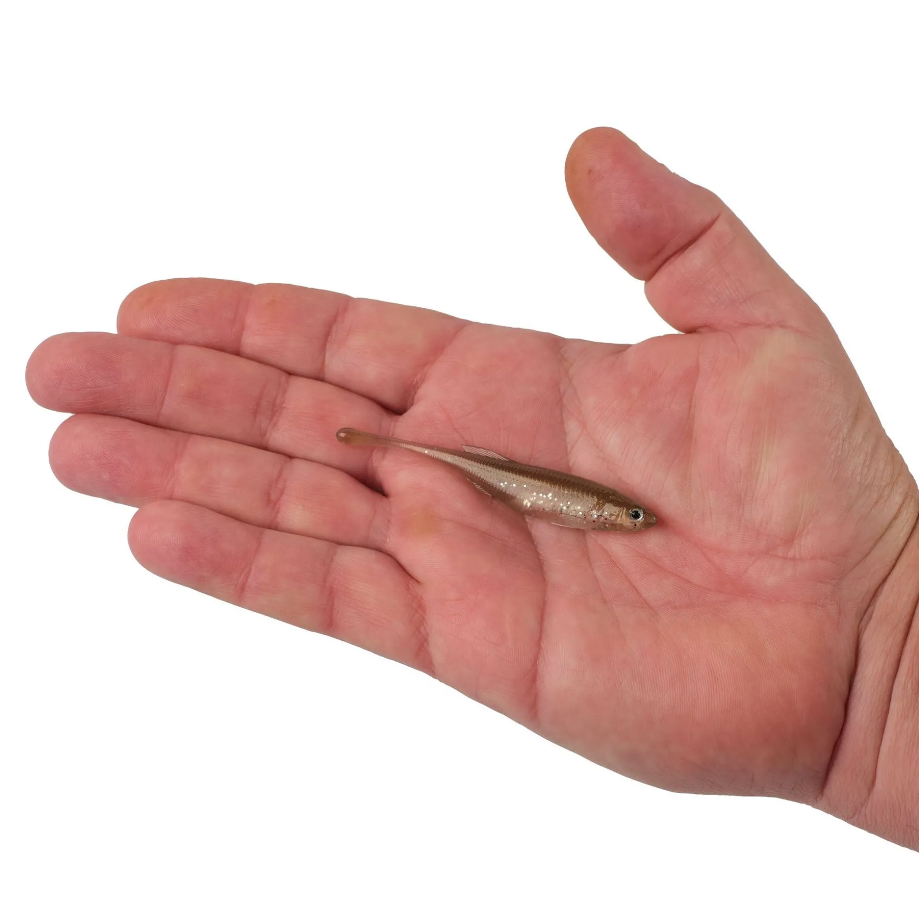 Berkley PowerBait® Drip Minnow
