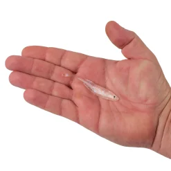 Berkley PowerBait® Drip Minnow