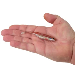 Berkley PowerBait® Drip Minnow