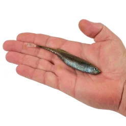 Berkley PowerBait® Drip Minnow