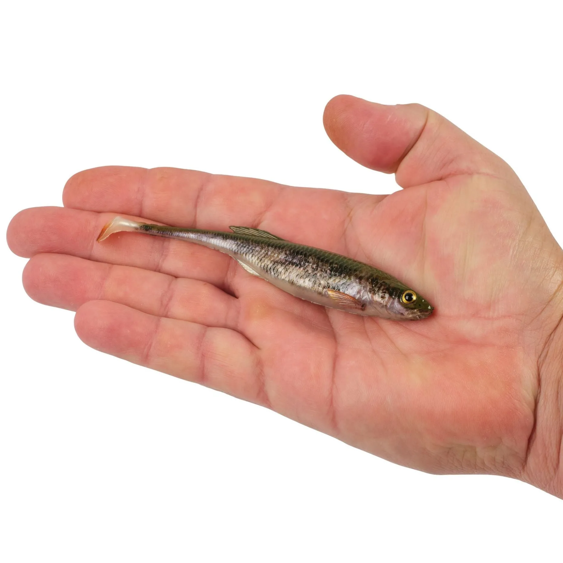 Berkley PowerBait® Drip Swimmer