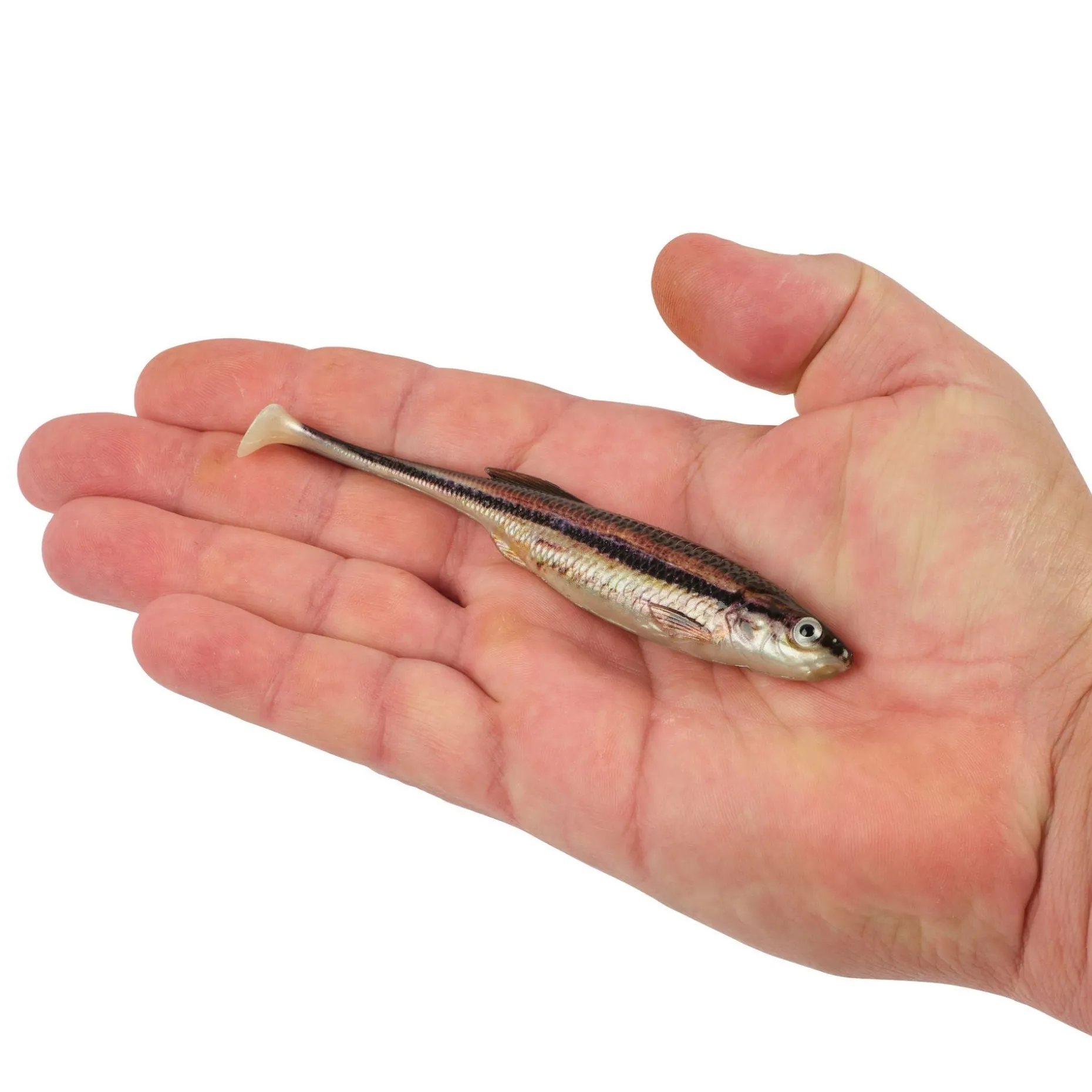 Berkley PowerBait® Drip Swimmer