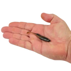 Berkley PowerBait® Drip Swimmer