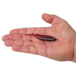 Berkley PowerBait® Drip Swimmer