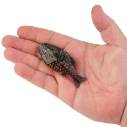 Berkley PowerBait® Gilly