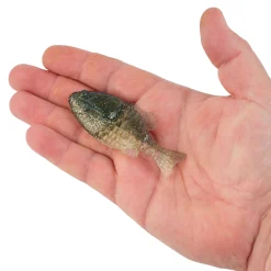 Berkley PowerBait® Gilly