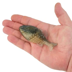 Berkley PowerBait® Gilly