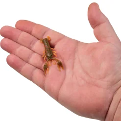 Berkley PowerBait® MaxScent Lil' Trooper