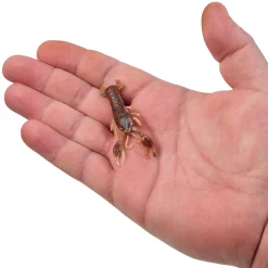 Berkley PowerBait® MaxScent Lil' Trooper