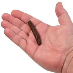 Berkley PowerBait® MaxScent Lil' General
