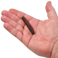 Berkley PowerBait® MaxScent Lil' General