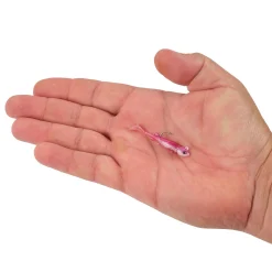 Berkley PowerBait® Minnotator