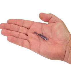 Berkley PowerBait® Minnotator