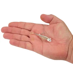 Berkley PowerBait® Minnotator