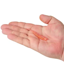 Berkley PowerBait® Minnow
