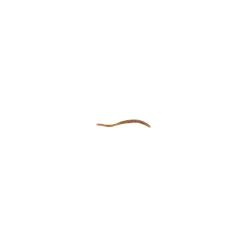 Berkley PowerBait® Power® Floating Trout Worm
