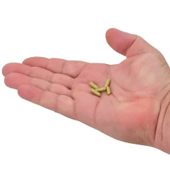 Berkley PowerBait® Power Wigglers®