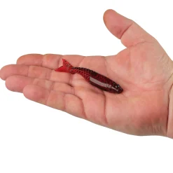Berkley PowerBait® PowerStinger