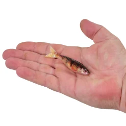 Berkley PowerBait® PowerStinger