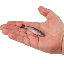 Berkley PowerBait® PowerStinger
